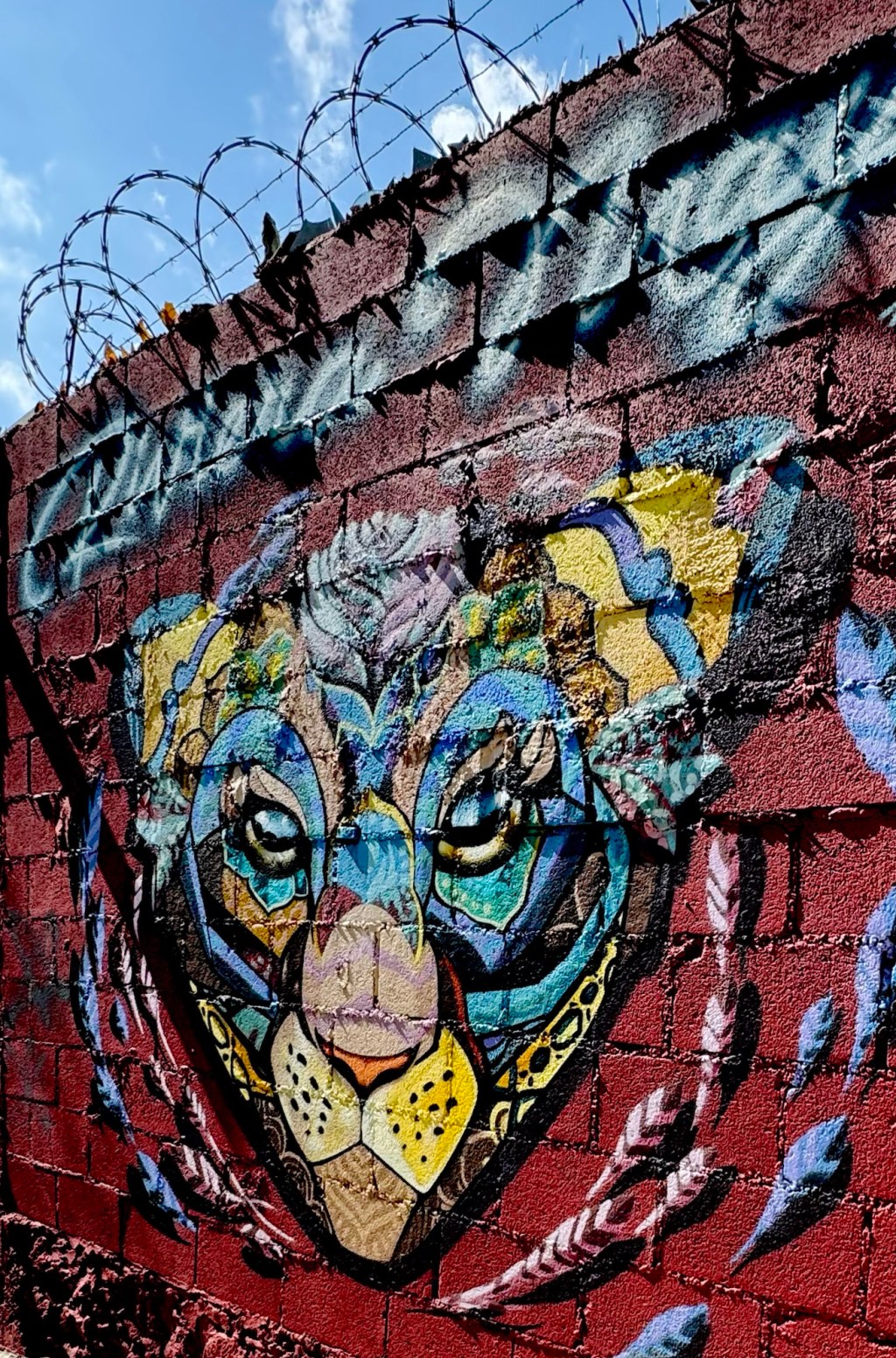 Mexico – Day&nbsp;20